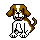 dog01